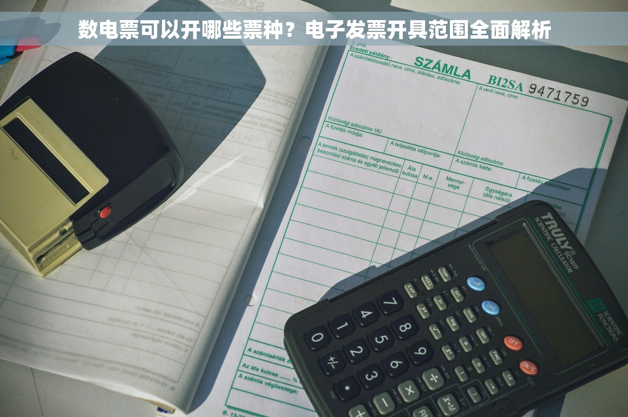 数电票可以开哪些票种？电子发票开具范围全面解析