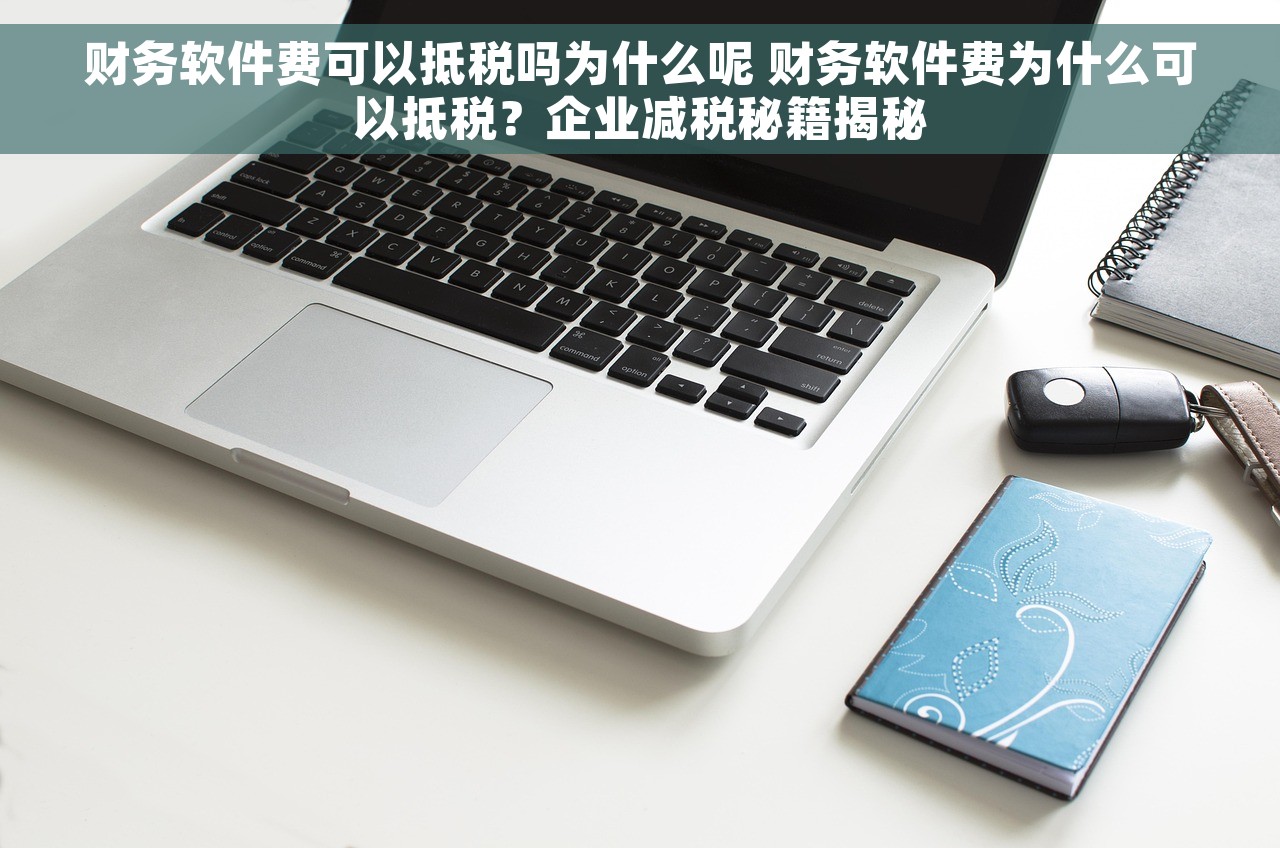 财务软件费可以抵税吗为什么呢 财务软件费为什么可以抵税？企业减税秘籍揭秘