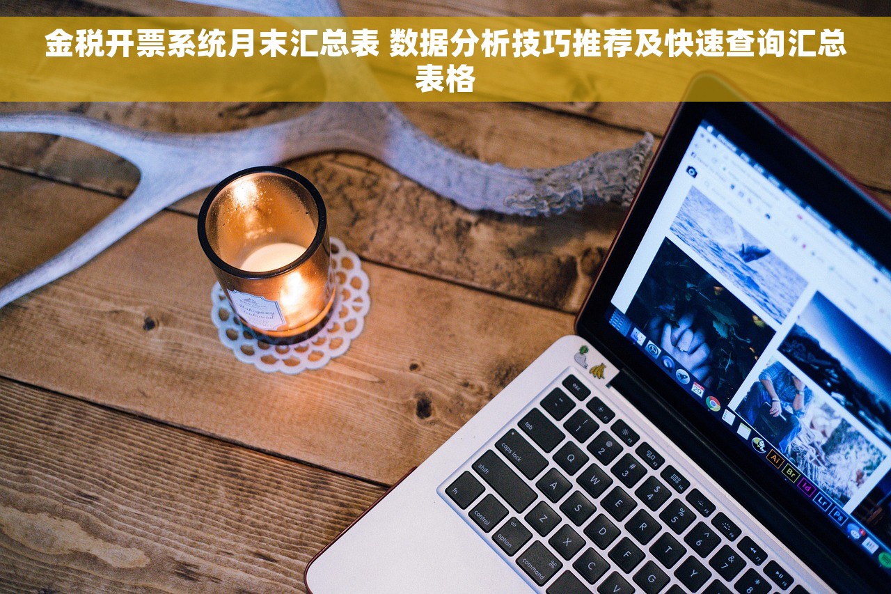 金税开票系统月末汇总表 数据分析技巧推荐及快速查询汇总表格