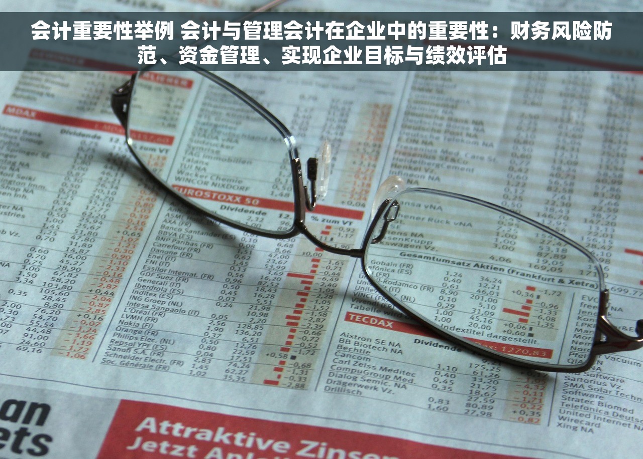 会计重要性举例 会计与管理会计在企业中的重要性：财务风险防范、资金管理、实现企业目标与绩效评估