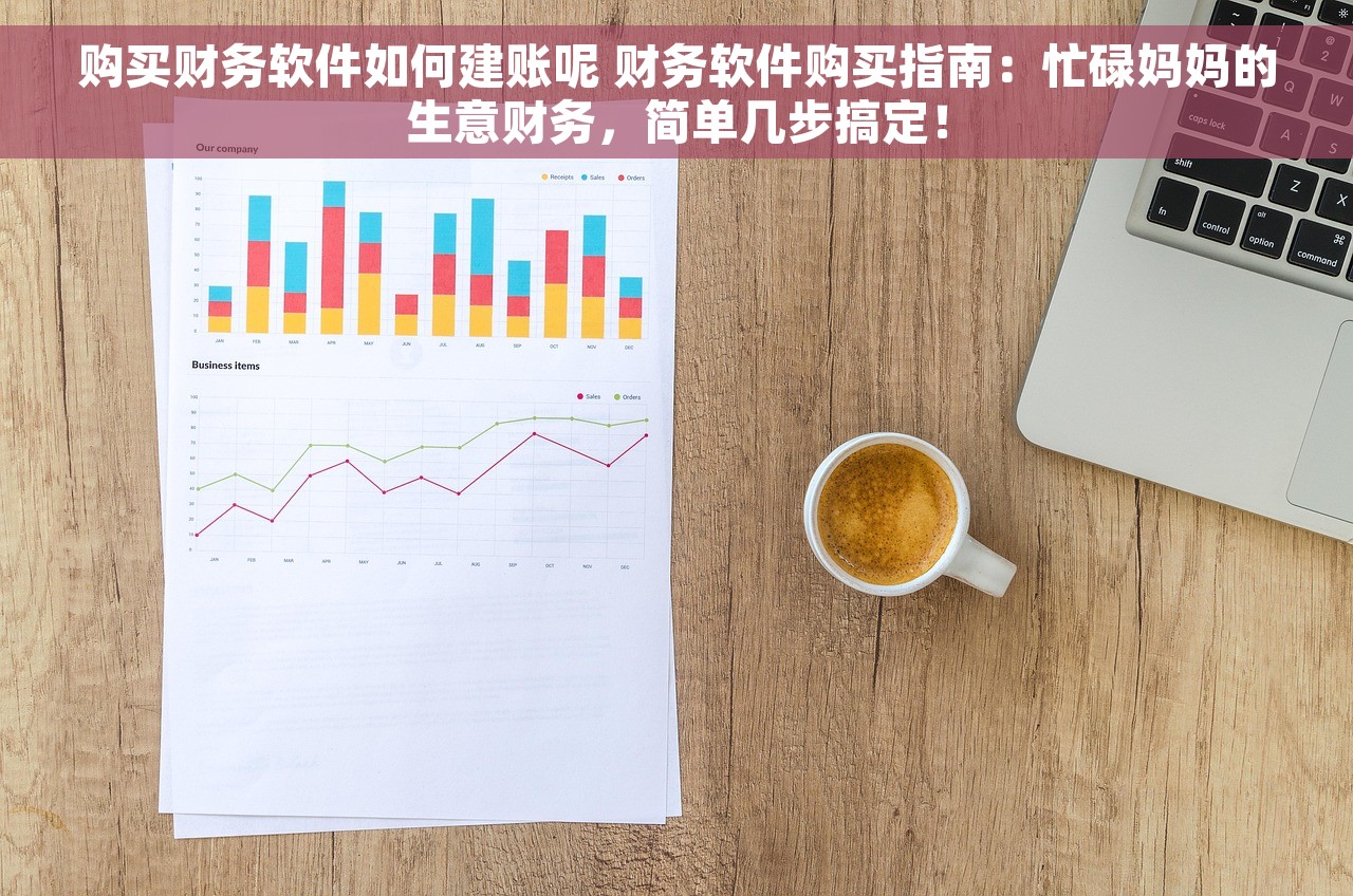 购买财务软件如何建账呢 财务软件购买指南：忙碌妈妈的生意财务，简单几步搞定！