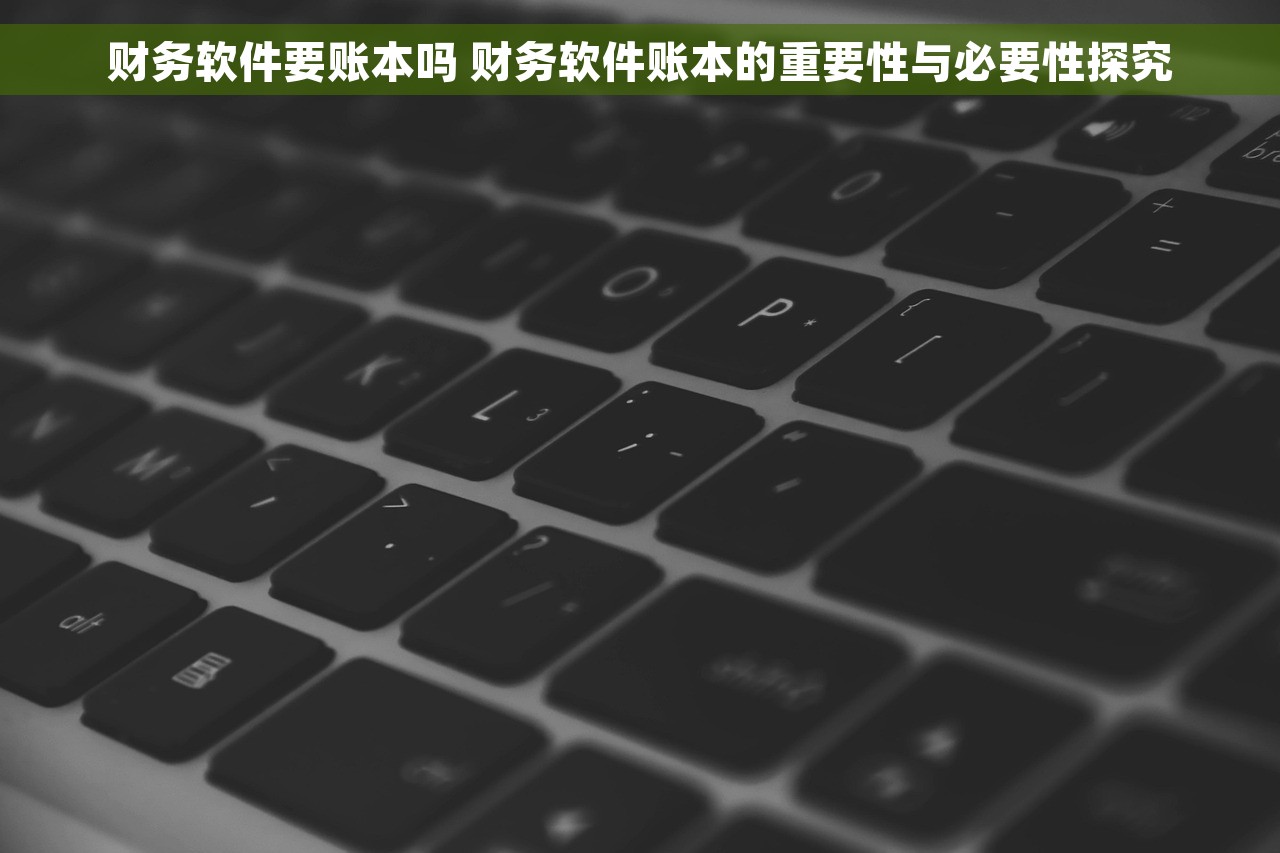 财务软件要账本吗 财务软件账本的重要性与必要性探究