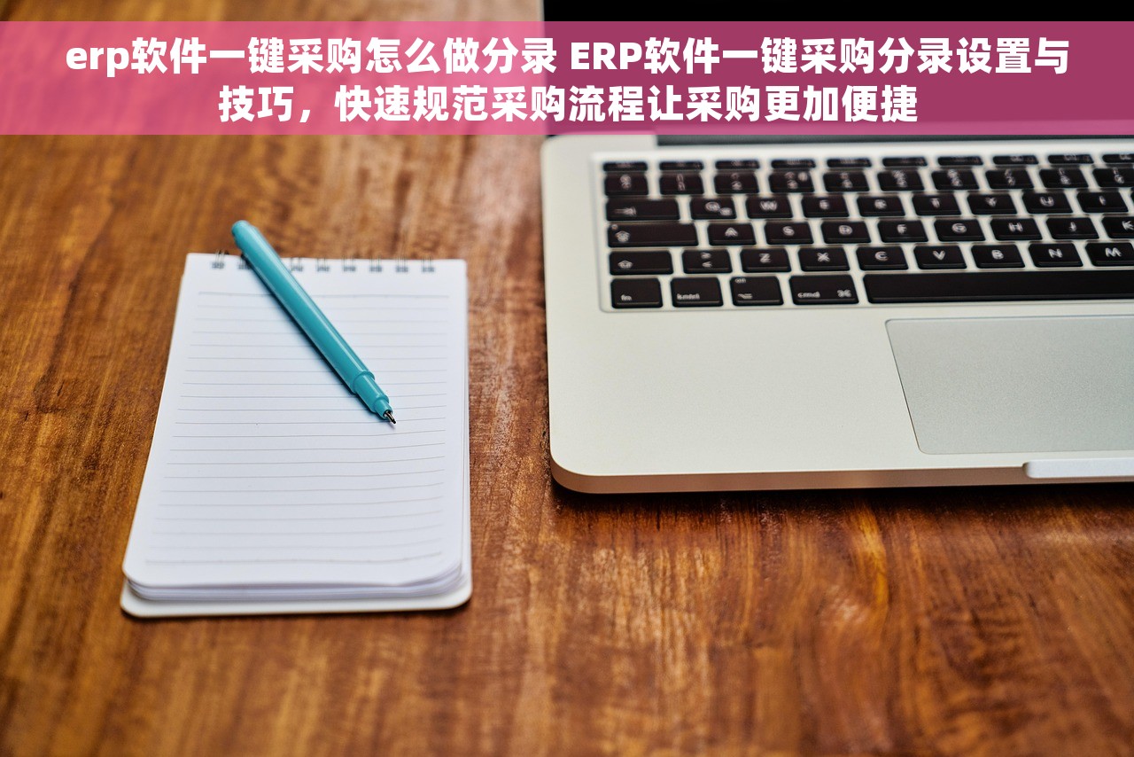 erp软件一键采购怎么做分录 ERP软件一键采购分录设置与技巧，快速规范采购流程让采购更加便捷