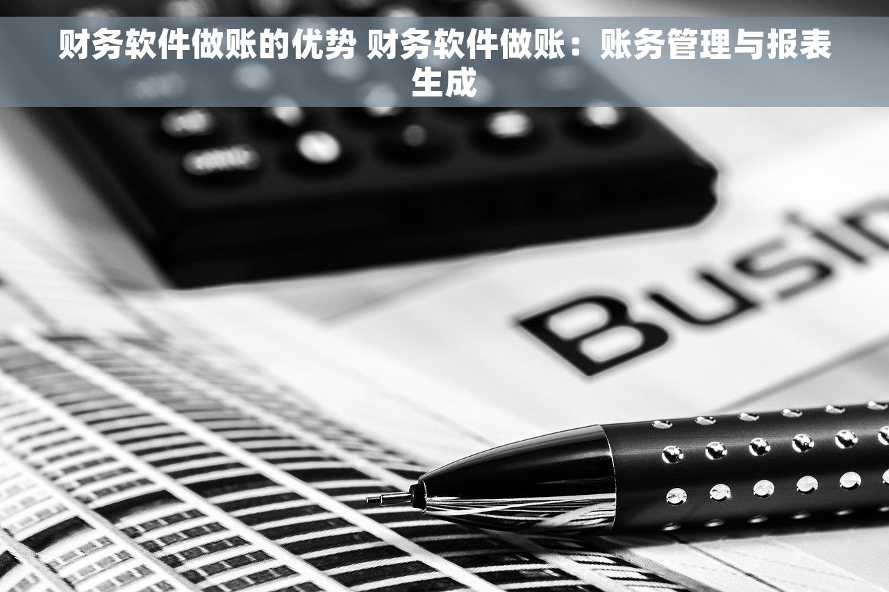 财务软件做账的优势 财务软件做账：账务管理与报表生成