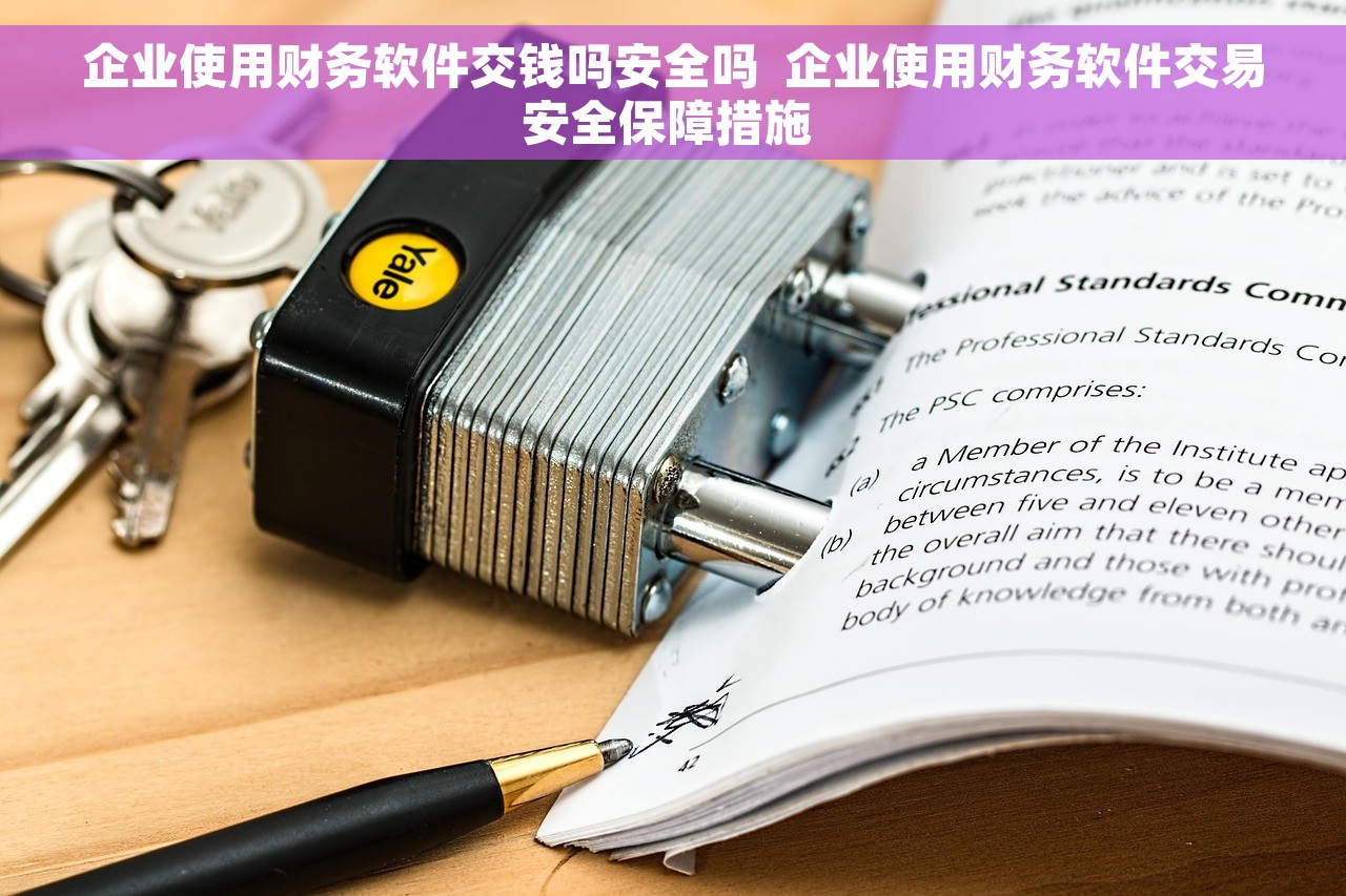 企业使用财务软件交钱吗安全吗  企业使用财务软件交易安全保障措施 
