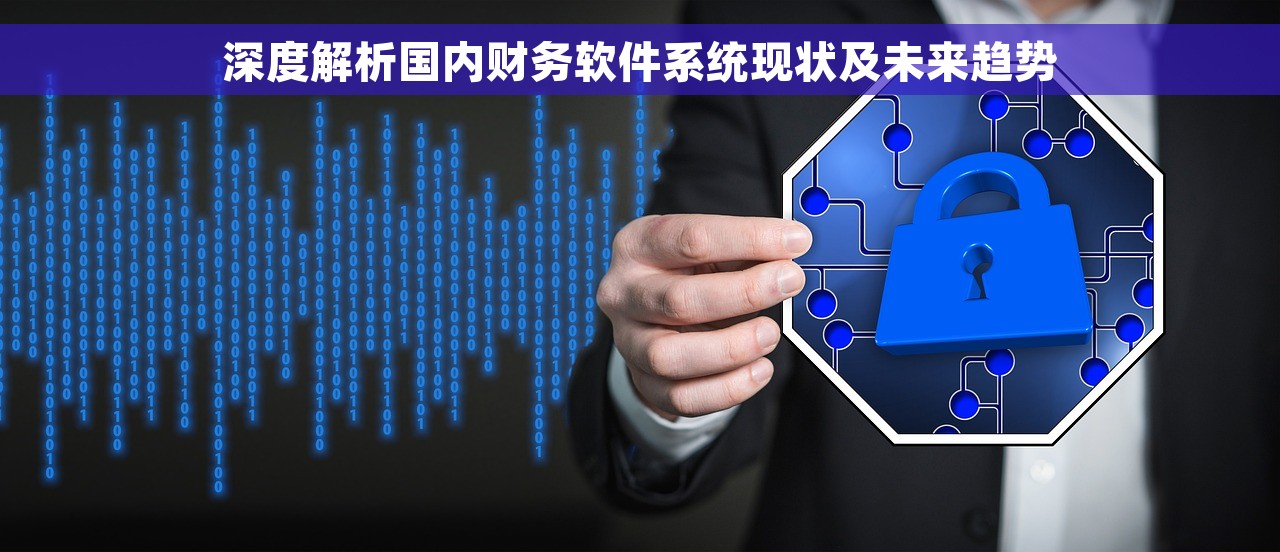 深度解析国内财务软件系统现状及未来趋势