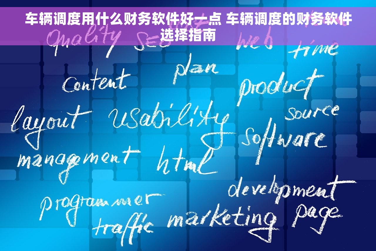 车辆调度用什么财务软件好一点 车辆调度的财务软件选择指南