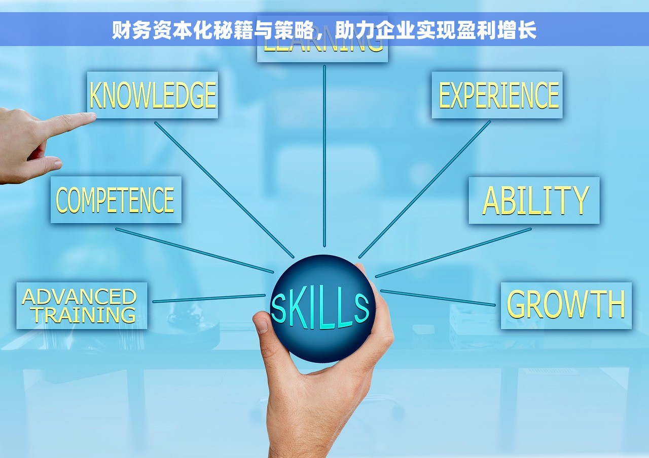 财务资本化秘籍与策略，助力企业实现盈利增长