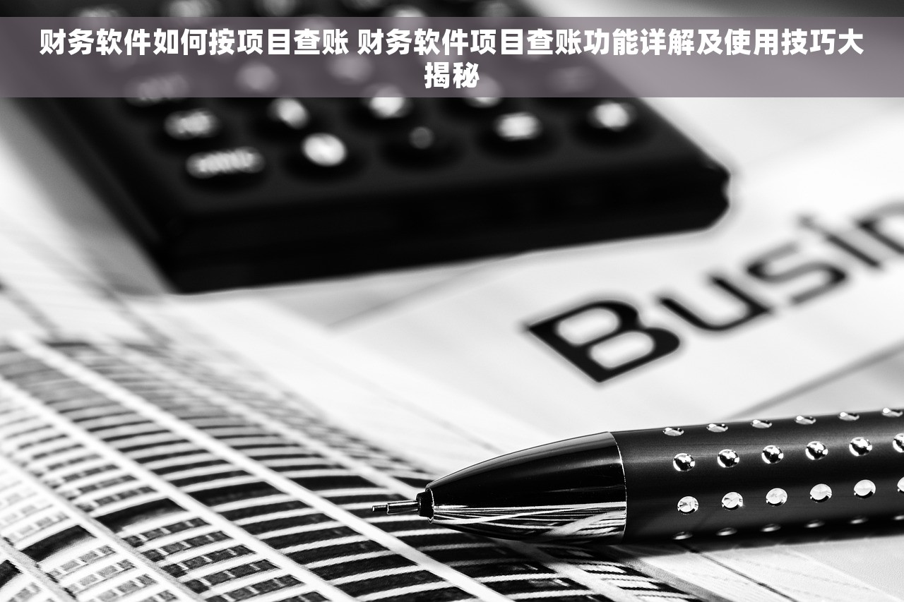 财务软件如何按项目查账 财务软件项目查账功能详解及使用技巧大揭秘