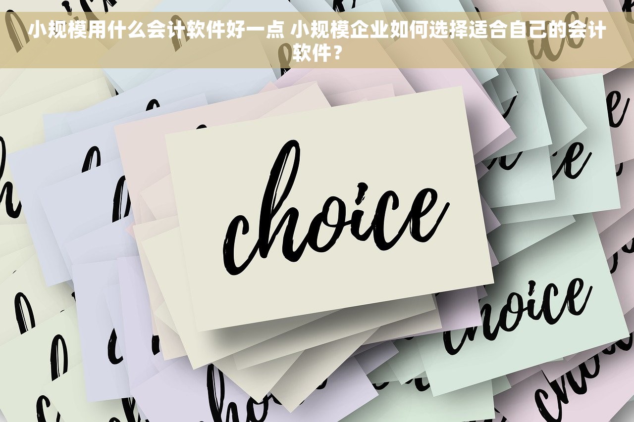 小规模用什么会计软件好一点 小规模企业如何选择适合自己的会计软件？