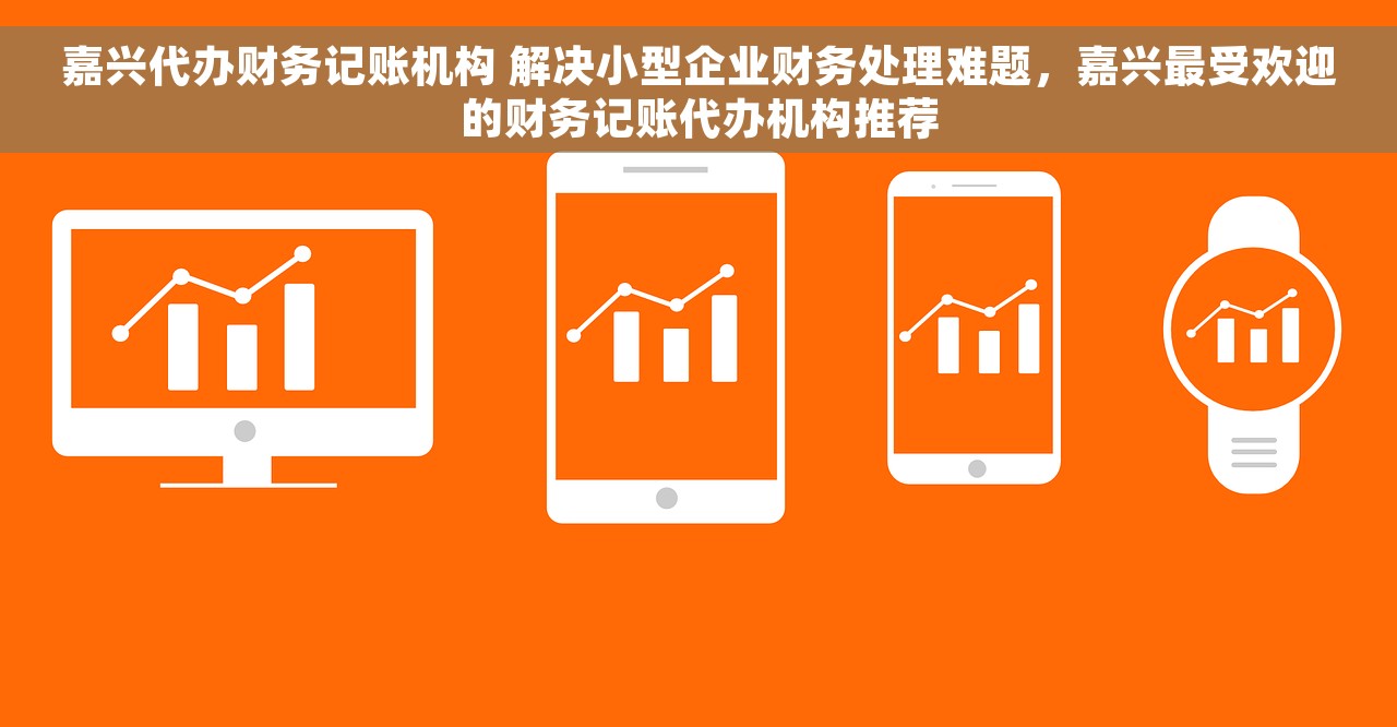嘉兴代办财务记账机构 解决小型企业财务处理难题，嘉兴最受欢迎的财务记账代办机构推荐
