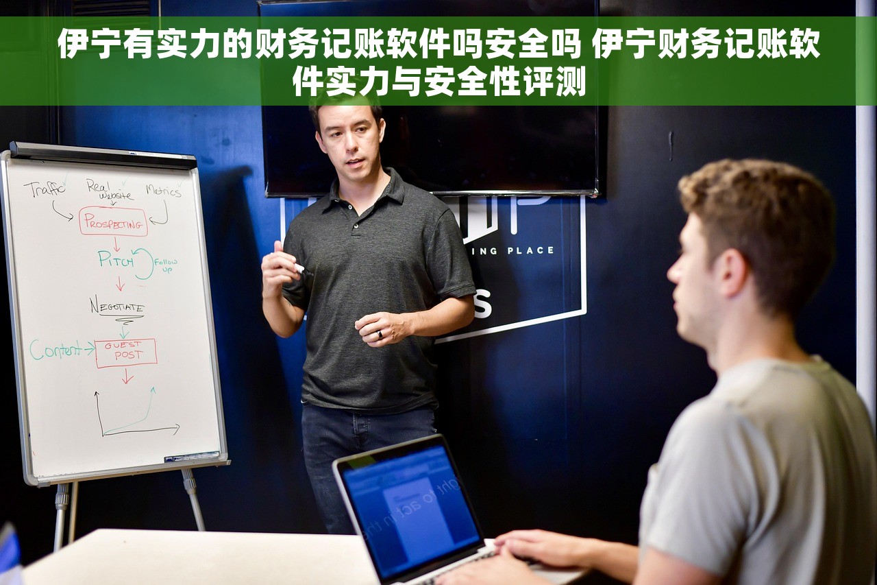 伊宁有实力的财务记账软件吗安全吗 伊宁财务记账软件实力与安全性评测