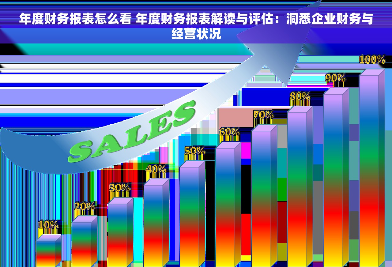 年度财务报表怎么看 年度财务报表解读与评估：洞悉企业财务与经营状况