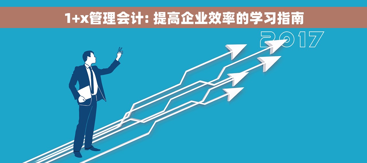 1+x管理会计: 提高企业效率的学习指南