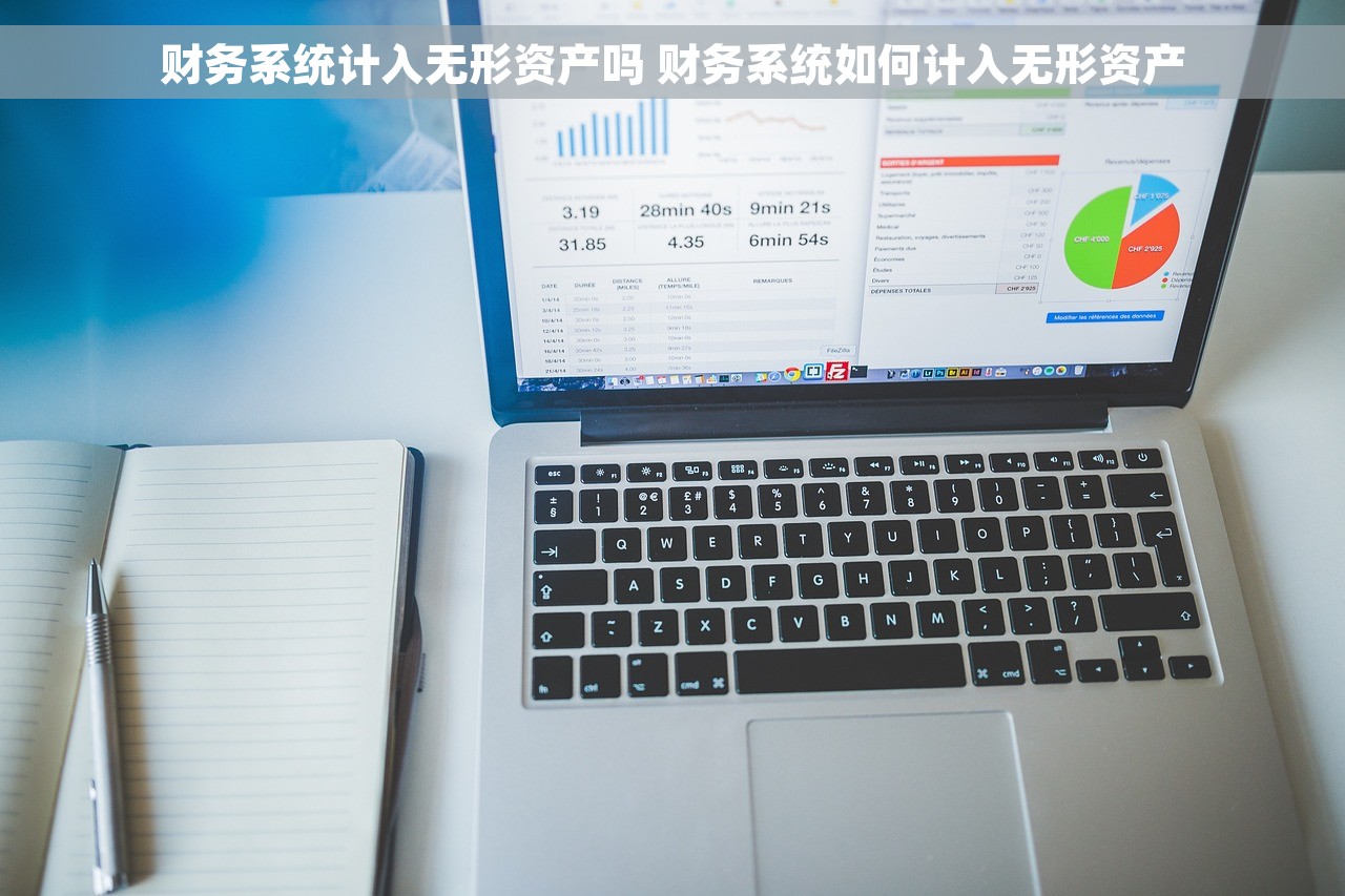 财务系统计入无形资产吗 财务系统如何计入无形资产