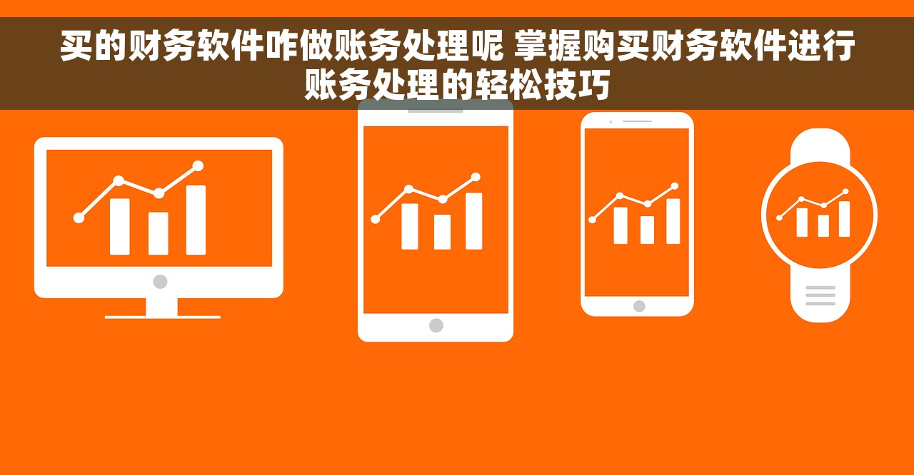 买的财务软件咋做账务处理呢 掌握购买财务软件进行账务处理的轻松技巧