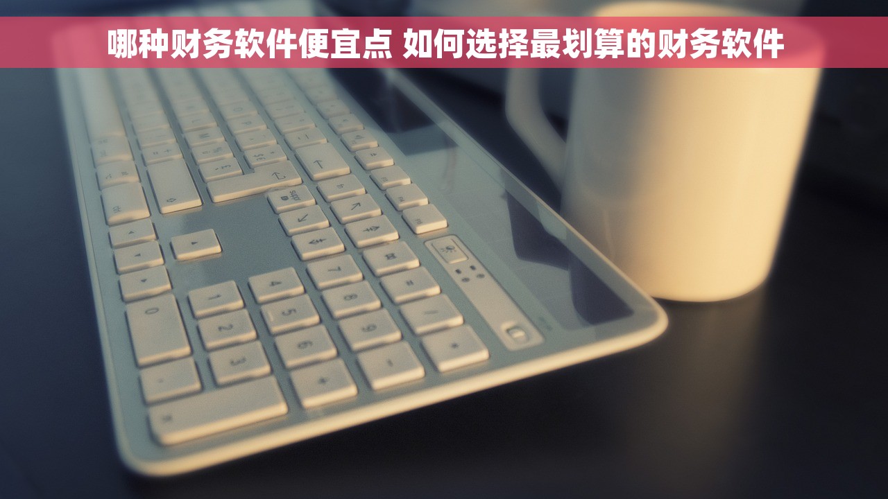哪种财务软件便宜点 如何选择最划算的财务软件