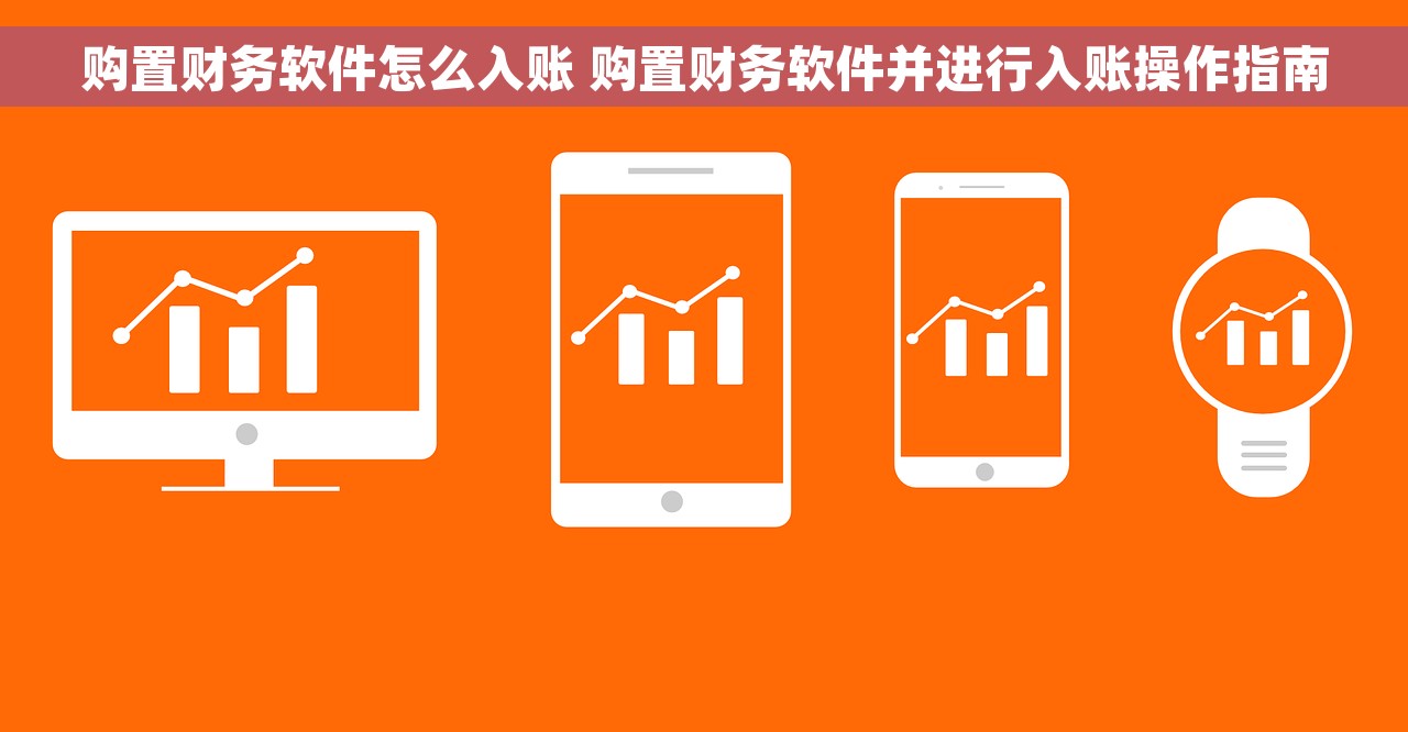 购置财务软件怎么入账 购置财务软件并进行入账操作指南