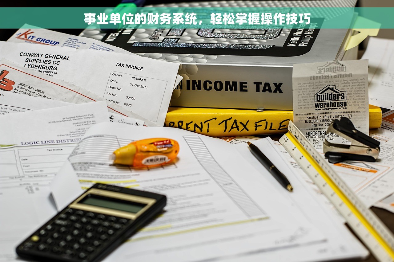 事业单位的财务系统，轻松掌握操作技巧
