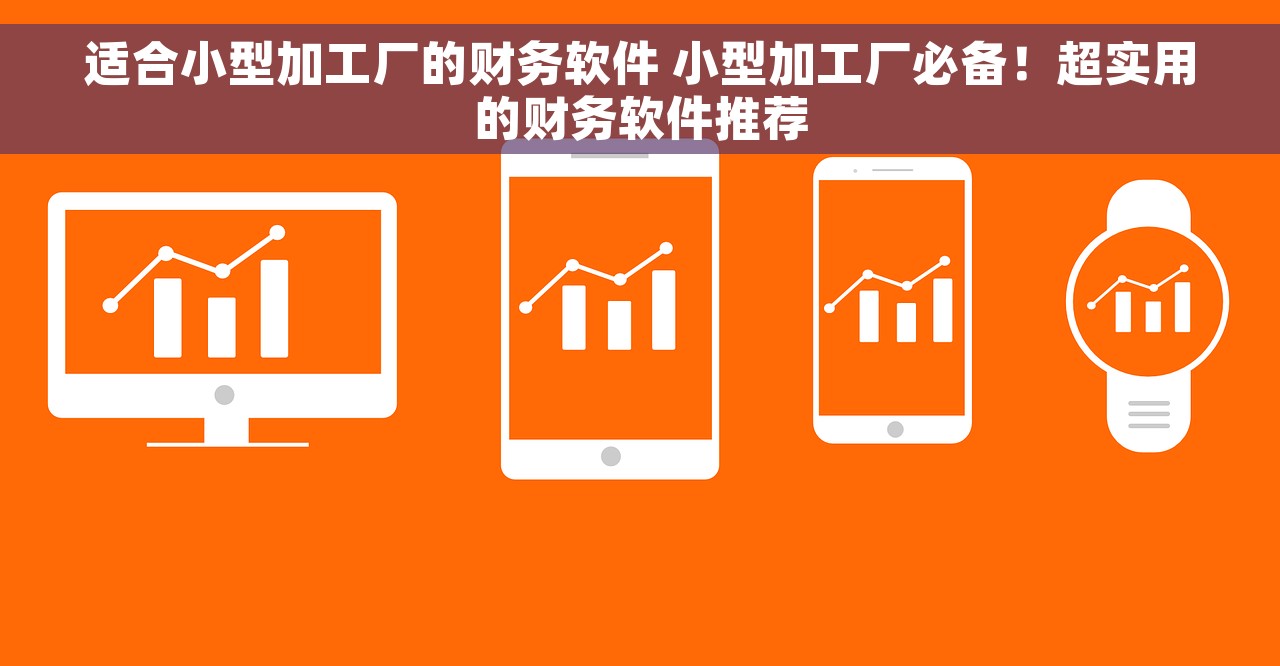 适合小型加工厂的财务软件 小型加工厂必备！超实用的财务软件推荐