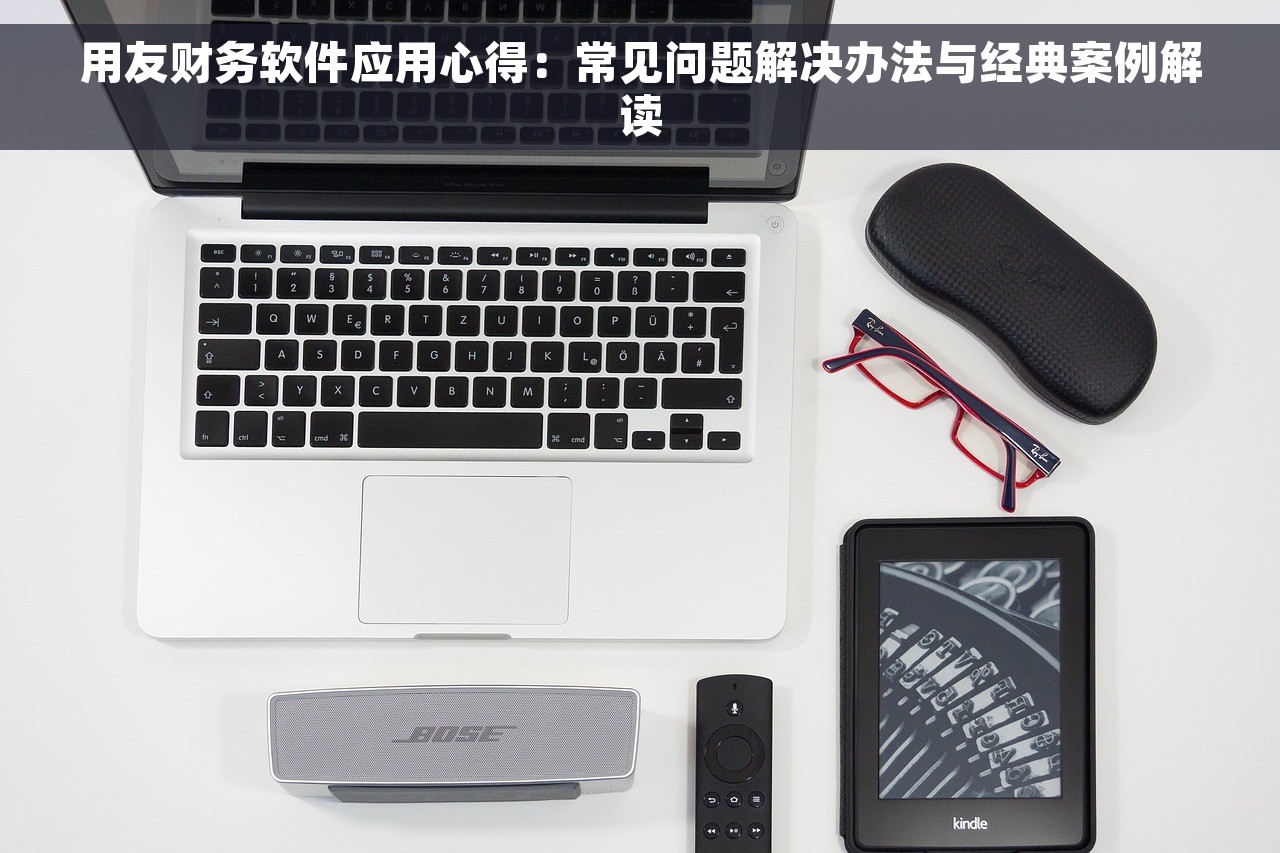 用友财务软件应用心得：常见问题解决办法与经典案例解读