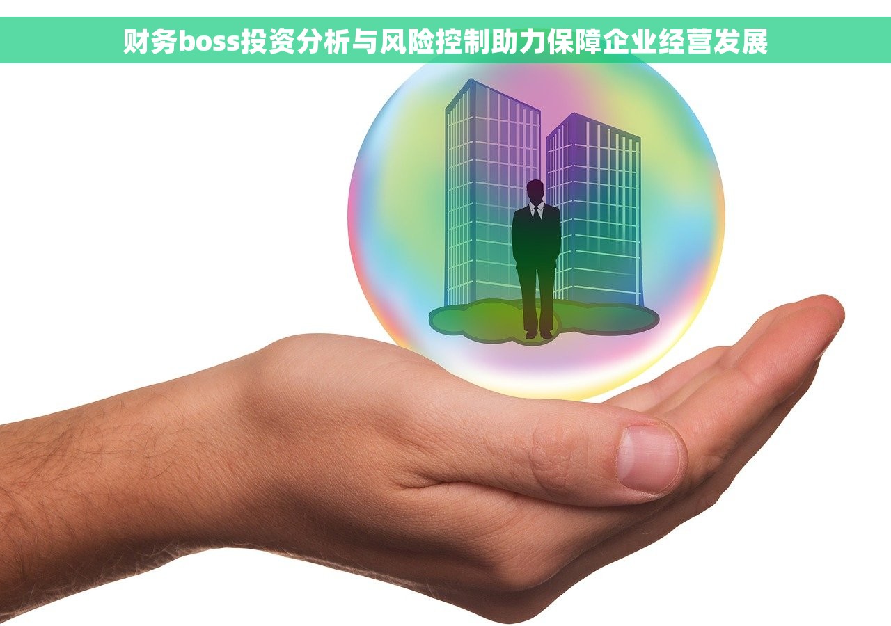 财务boss投资分析与风险控制助力保障企业经营发展