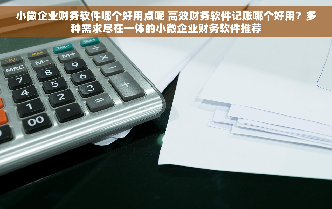 小微企业财务软件哪个好用点呢 高效财务软件记账哪个好用？多种需求尽在一体的小微企业财务软件推荐
