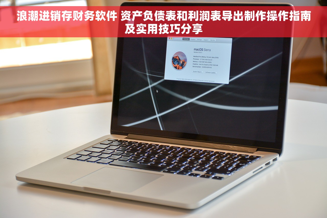 浪潮进销存财务软件 资产负债表和利润表导出制作操作指南及实用技巧分享