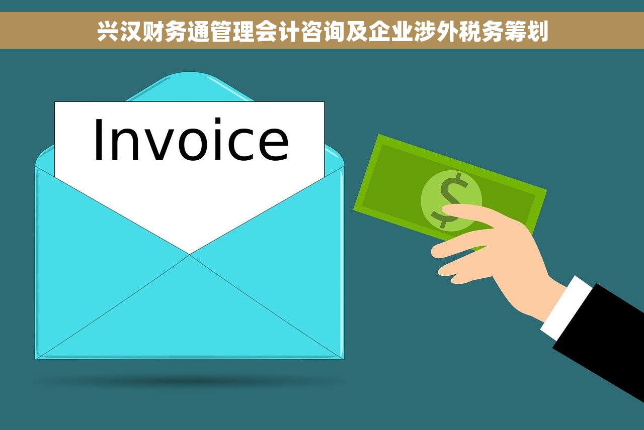 兴汉财务通管理会计咨询及企业涉外税务筹划