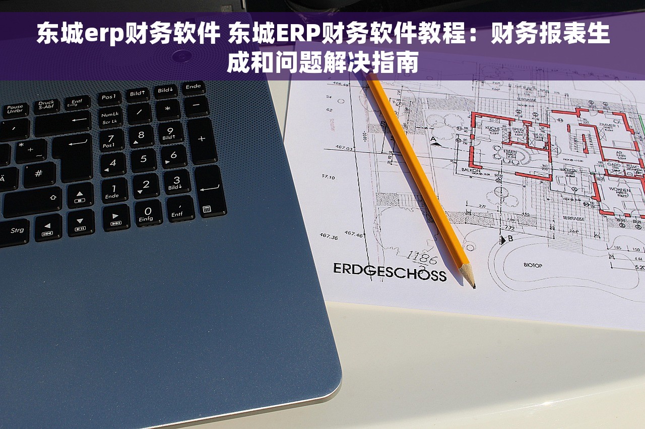 东城erp财务软件 东城ERP财务软件教程：财务报表生成和问题解决指南
