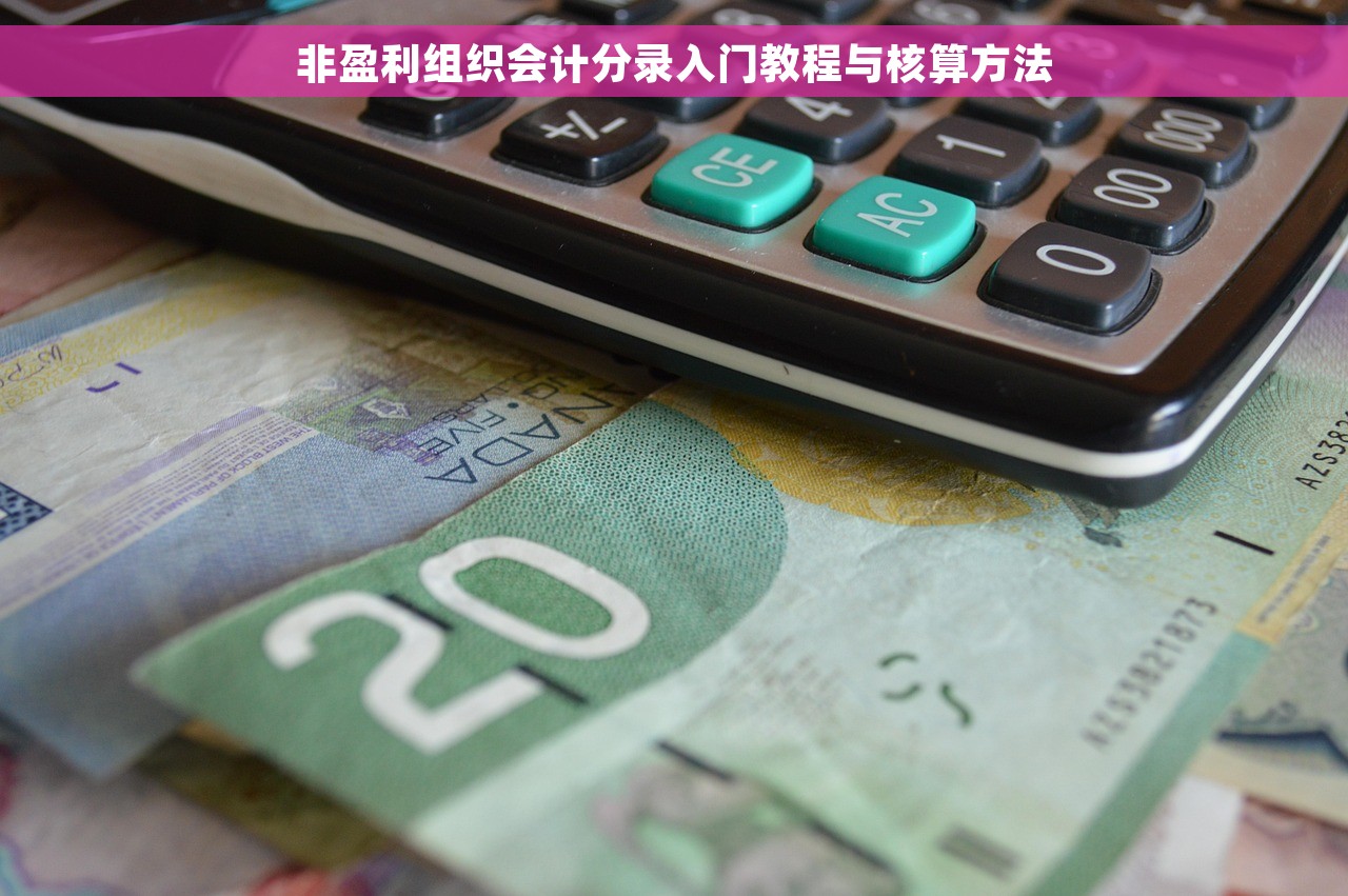 非盈利组织会计分录入门教程与核算方法