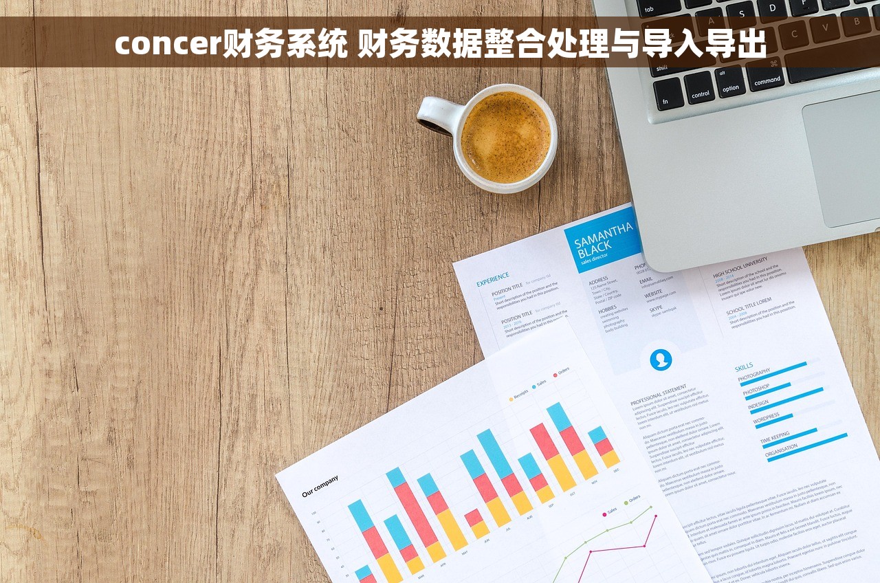 concer财务系统 财务数据整合处理与导入导出