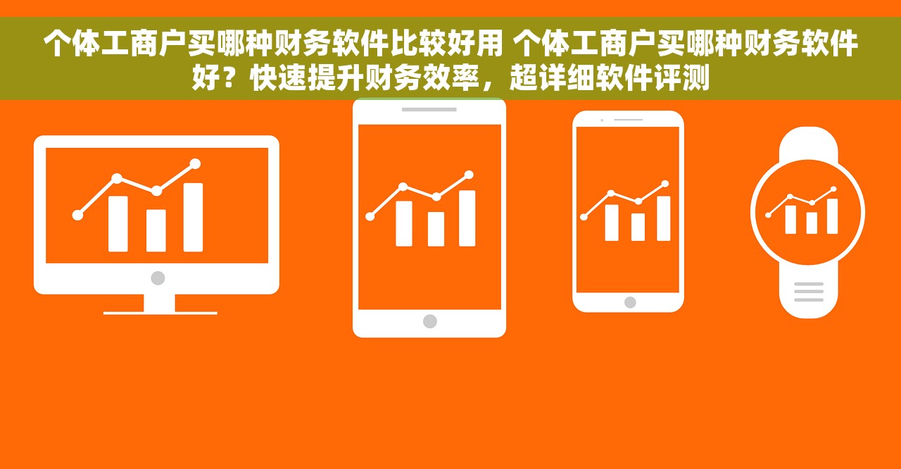 个体工商户买哪种财务软件比较好用 个体工商户买哪种财务软件好？快速提升财务效率，超详细软件评测
