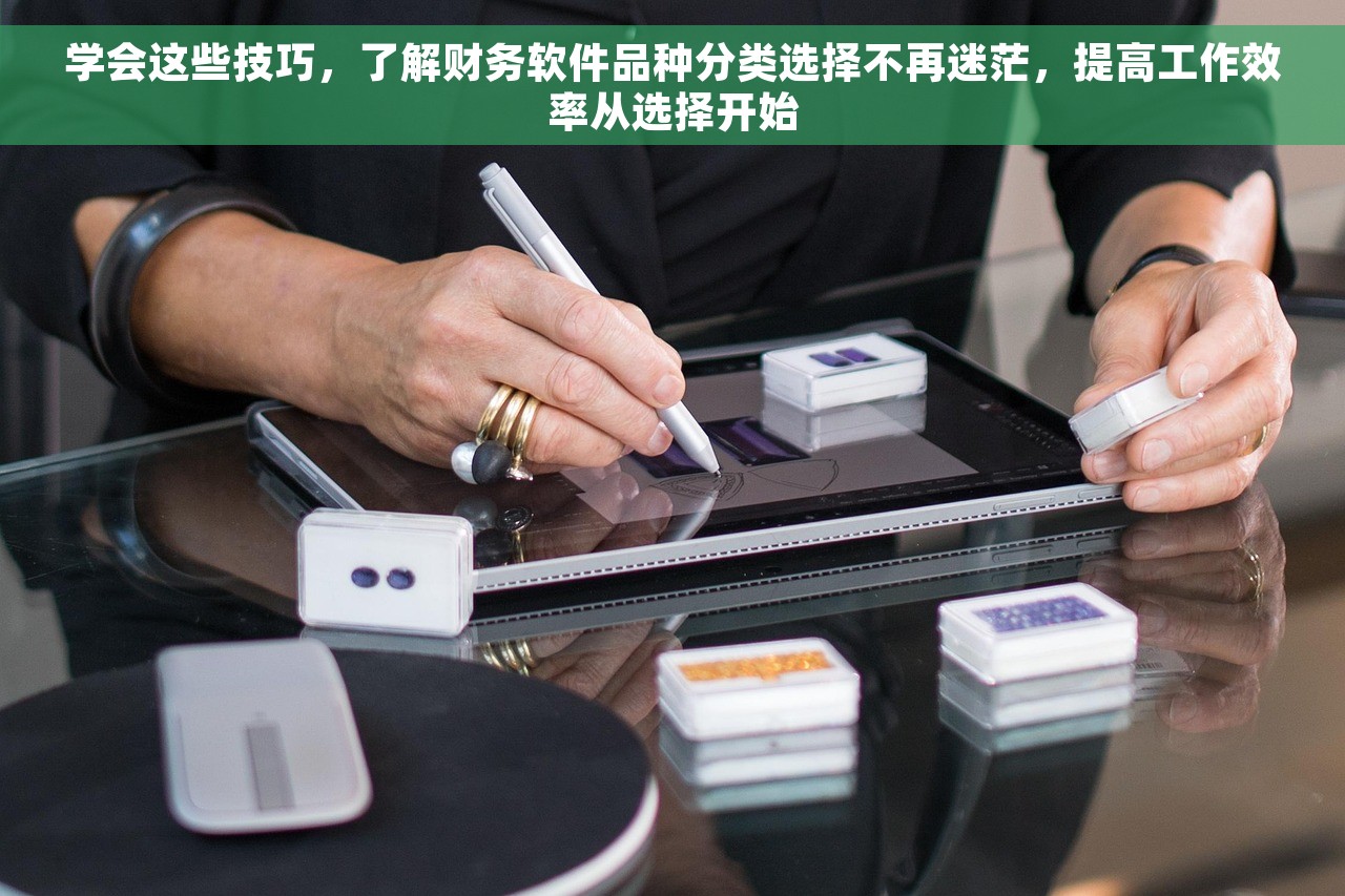 学会这些技巧，了解财务软件品种分类选择不再迷茫，提高工作效率从选择开始