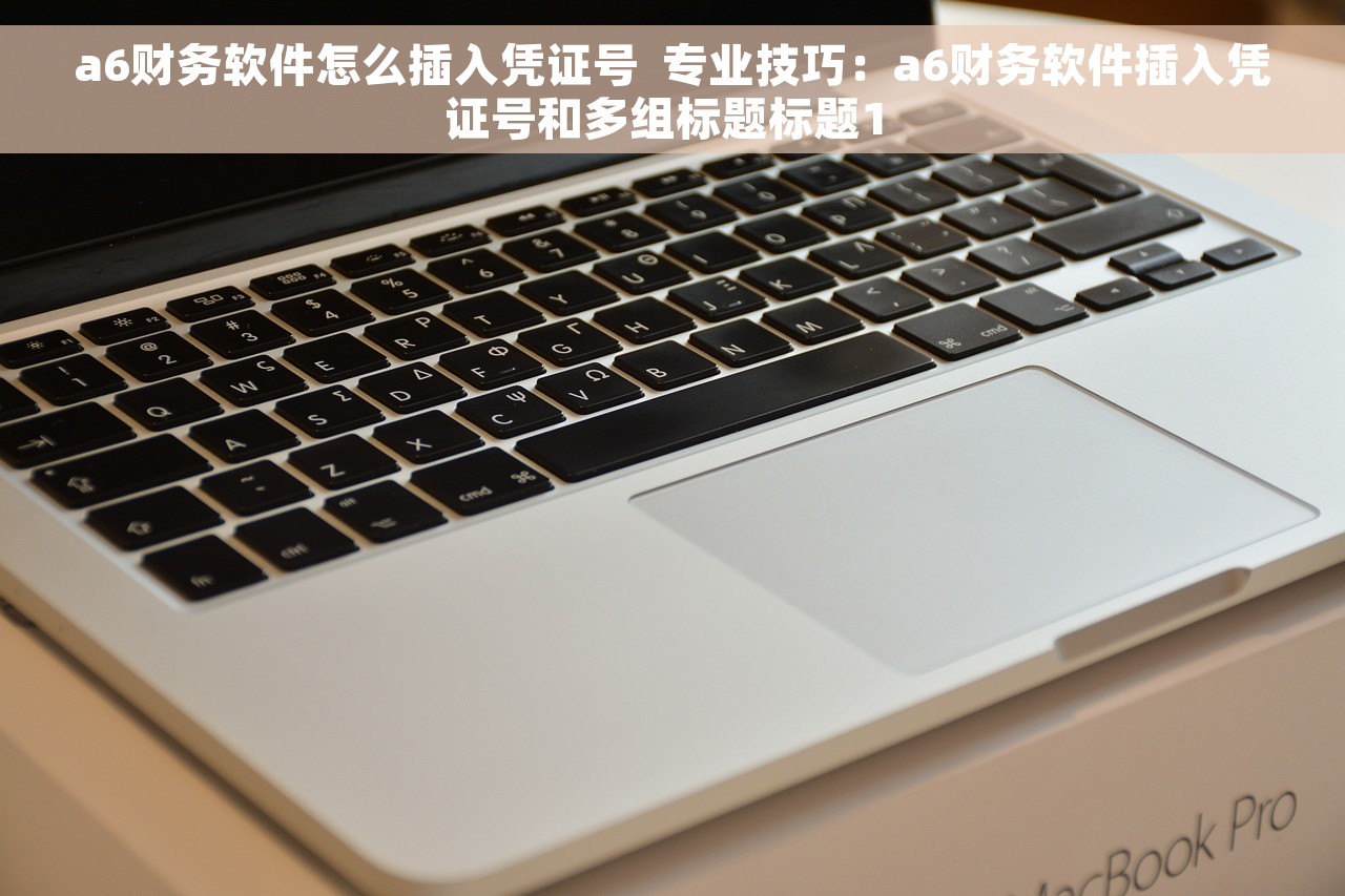 a6财务软件怎么插入凭证号  专业技巧：a6财务软件插入凭证号和多组标题标题1 