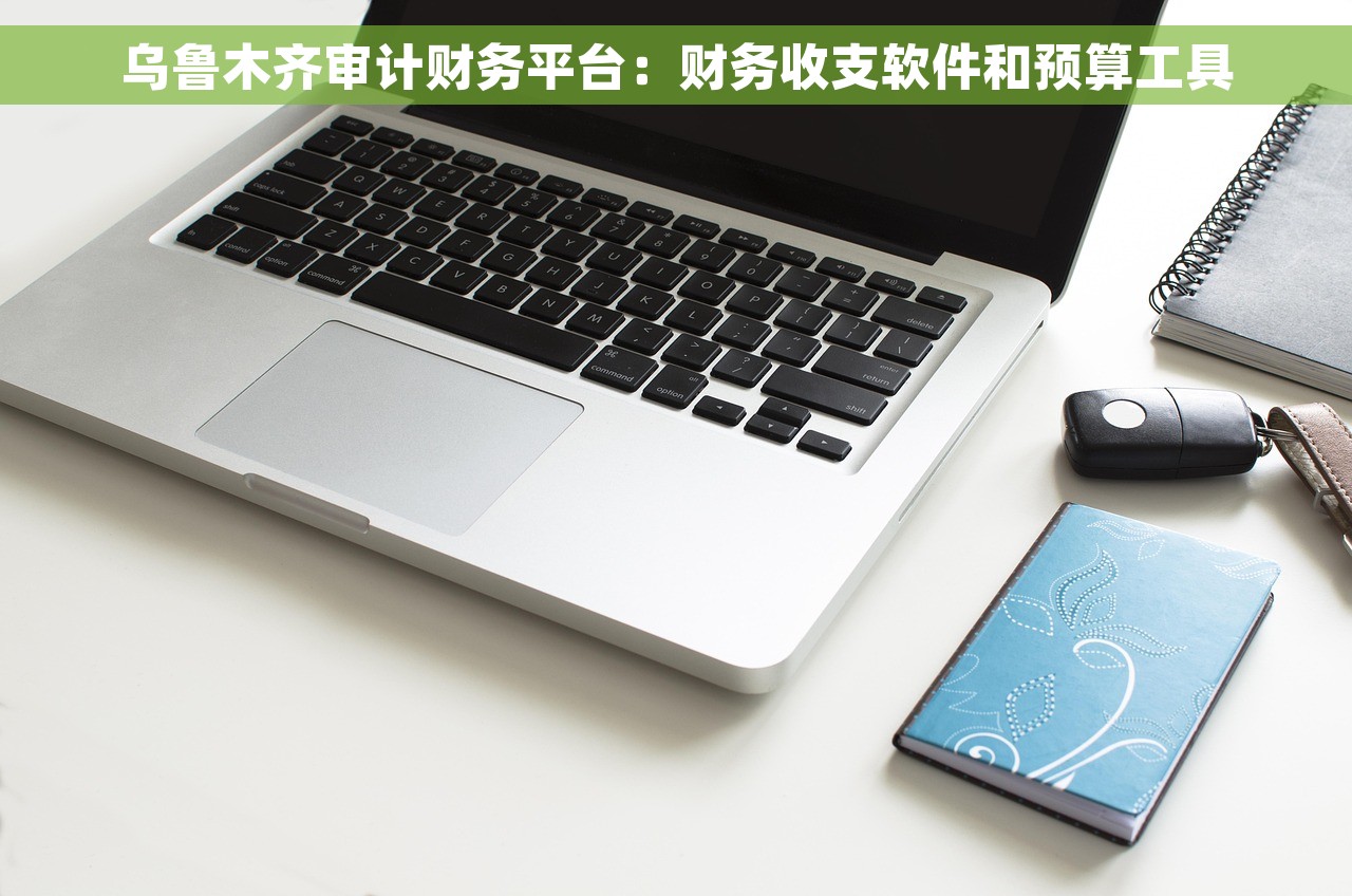乌鲁木齐审计财务平台：财务收支软件和预算工具