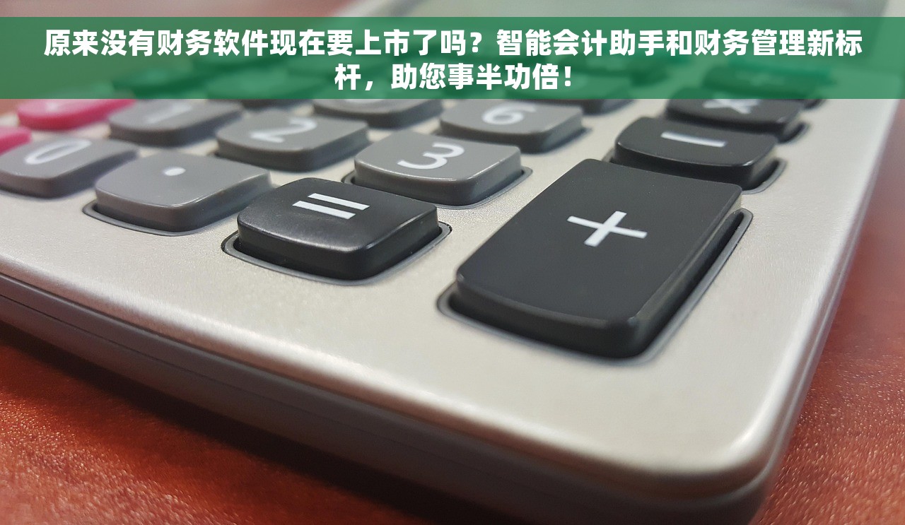 原来没有财务软件现在要上市了吗？智能会计助手和财务管理新标杆，助您事半功倍！