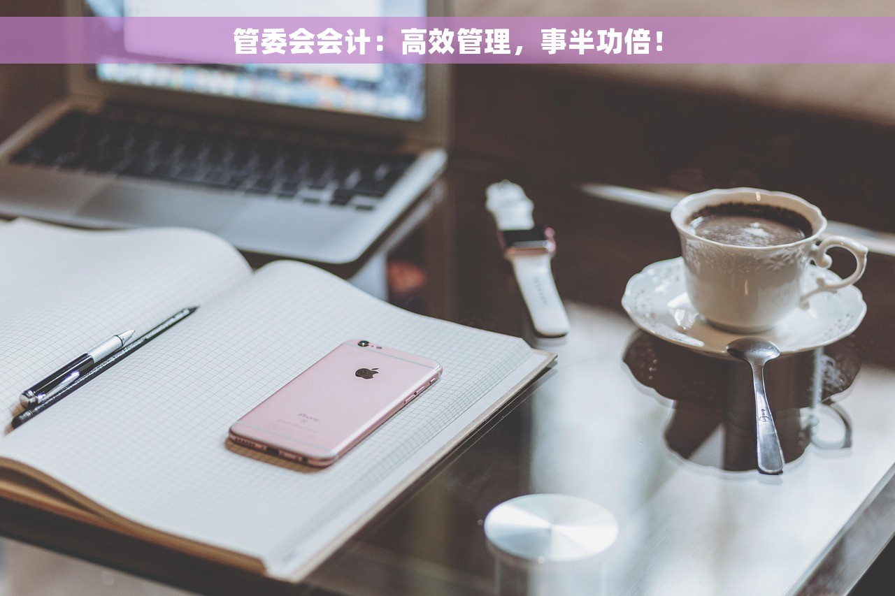 管委会会计：高效管理，事半功倍！