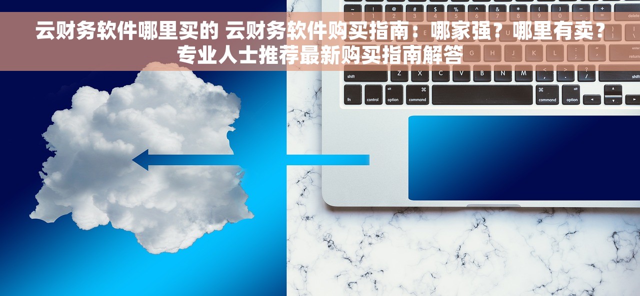 云财务软件哪里买的 云财务软件购买指南：哪家强？哪里有卖？专业人士推荐最新购买指南解答