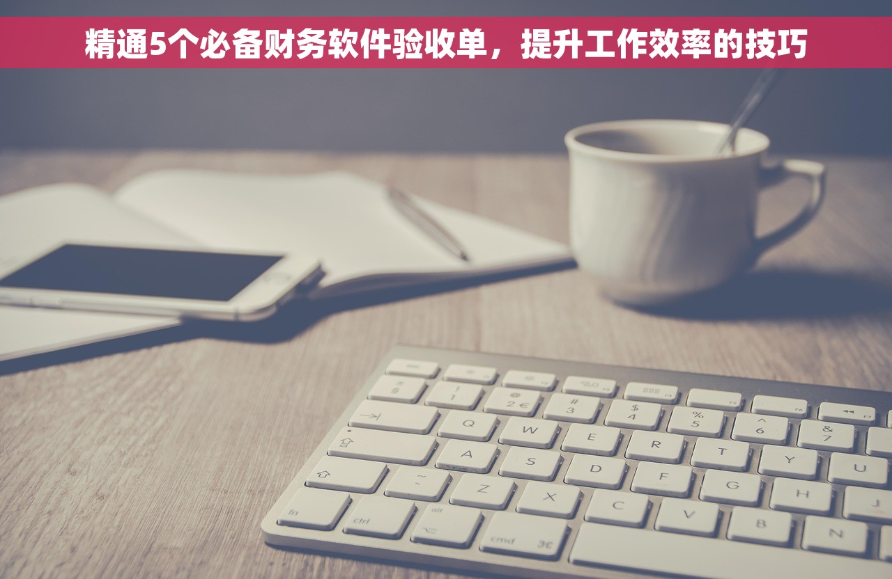 精通5个必备财务软件验收单，提升工作效率的技巧