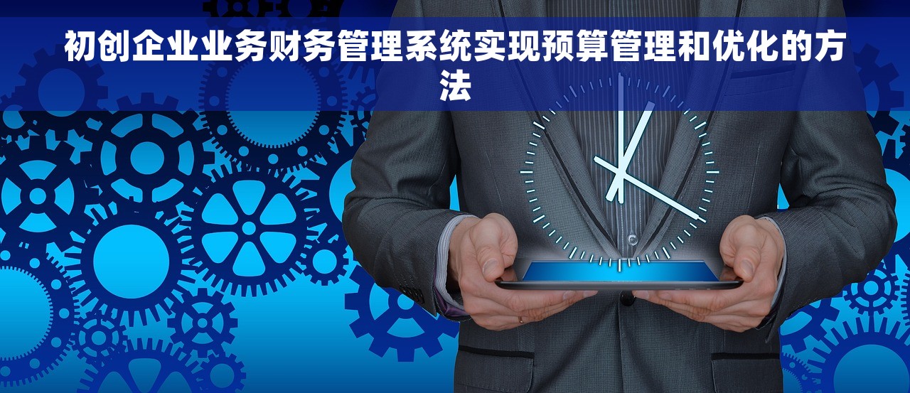 初创企业业务财务管理系统实现预算管理和优化的方法