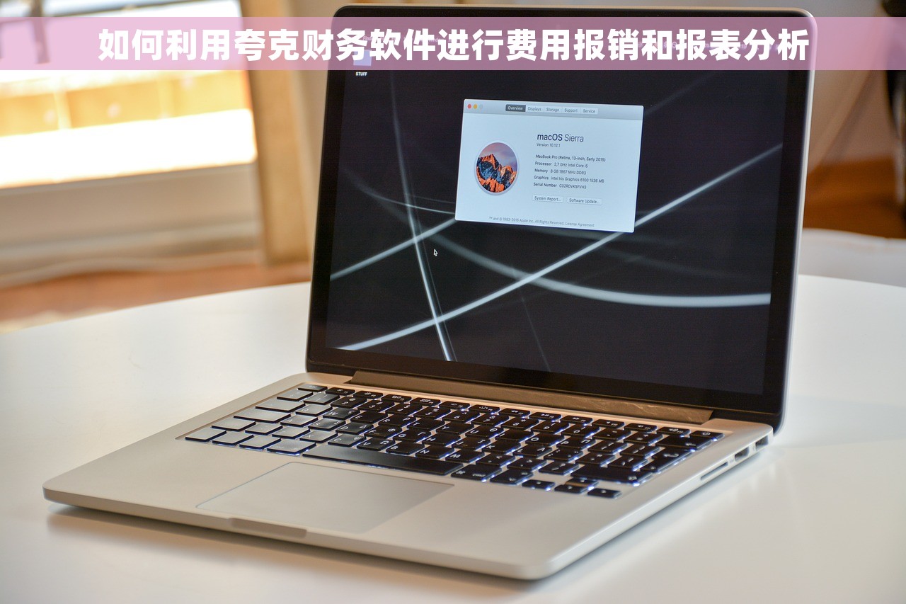 如何利用夸克财务软件进行费用报销和报表分析