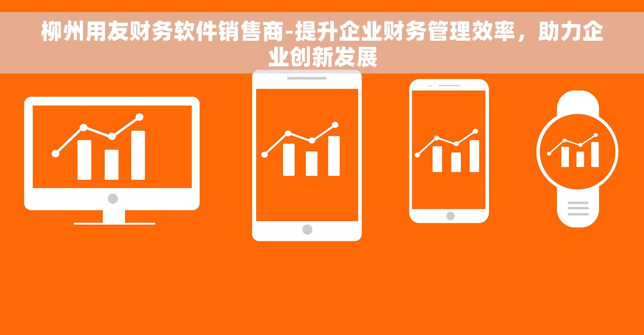 柳州用友财务软件销售商-提升企业财务管理效率，助力企业创新发展