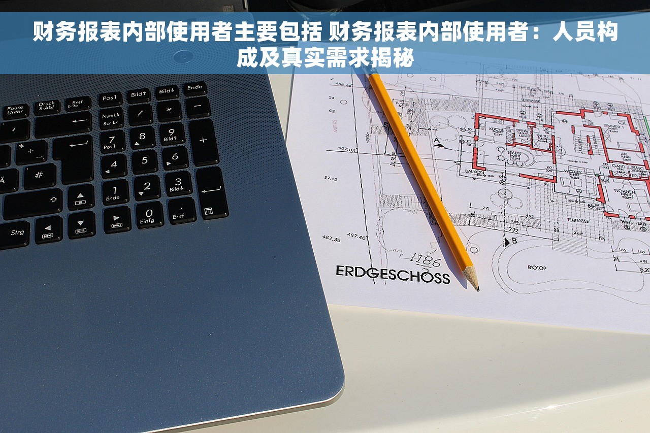 财务报表内部使用者主要包括 财务报表内部使用者：人员构成及真实需求揭秘