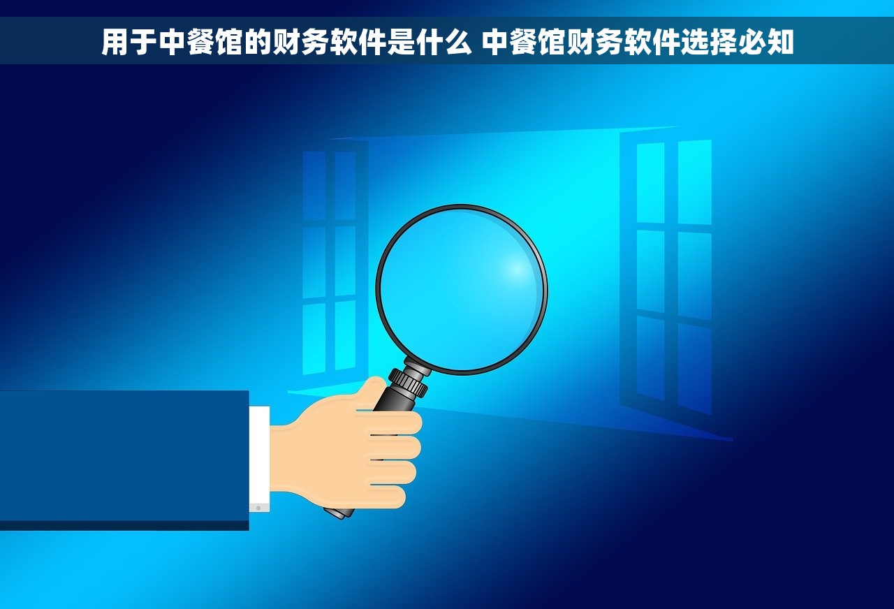 用于中餐馆的财务软件是什么 中餐馆财务软件选择必知