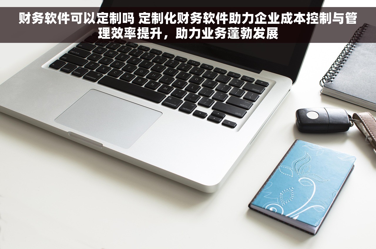财务软件可以定制吗 定制化财务软件助力企业成本控制与管理效率提升，助力业务蓬勃发展
