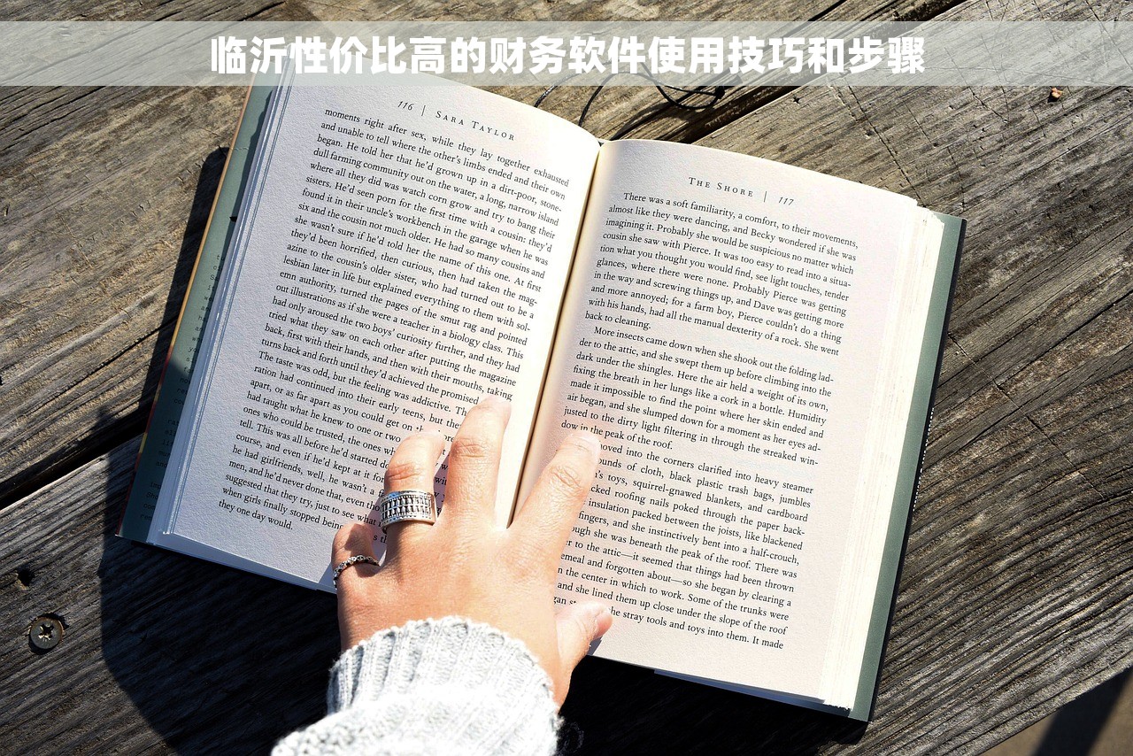 临沂性价比高的财务软件使用技巧和步骤