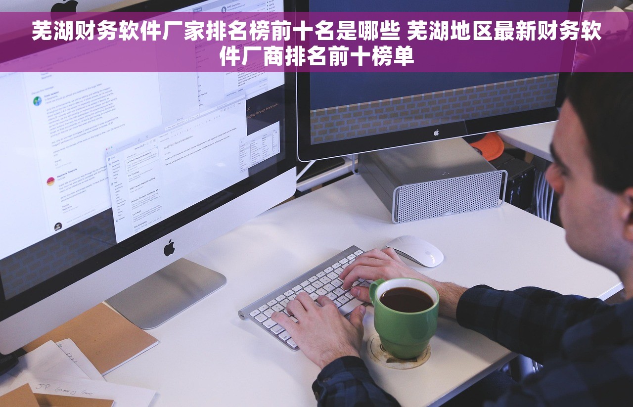 芜湖财务软件厂家排名榜前十名是哪些 芜湖地区最新财务软件厂商排名前十榜单
