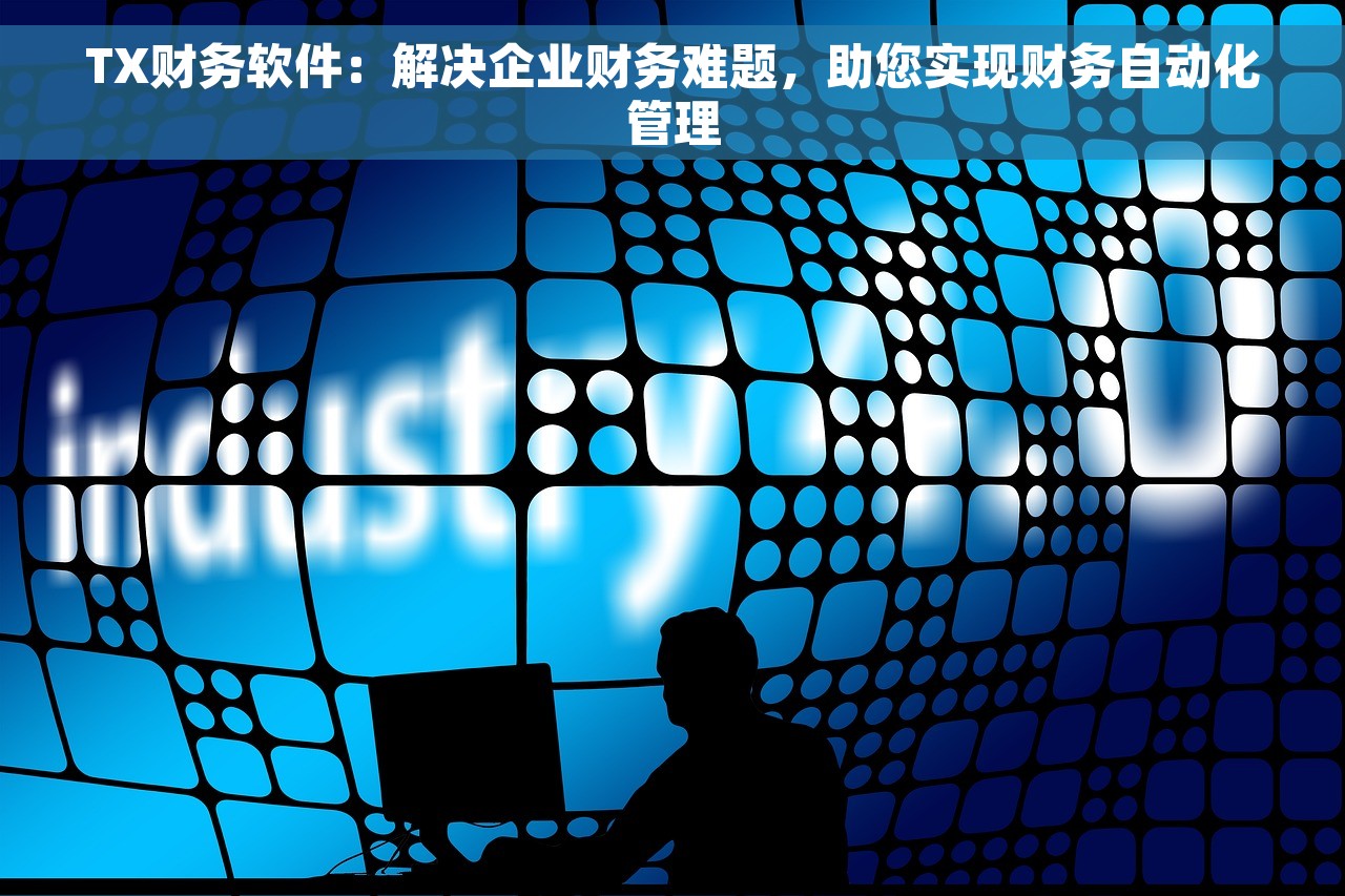 TX财务软件：解决企业财务难题，助您实现财务自动化管理
