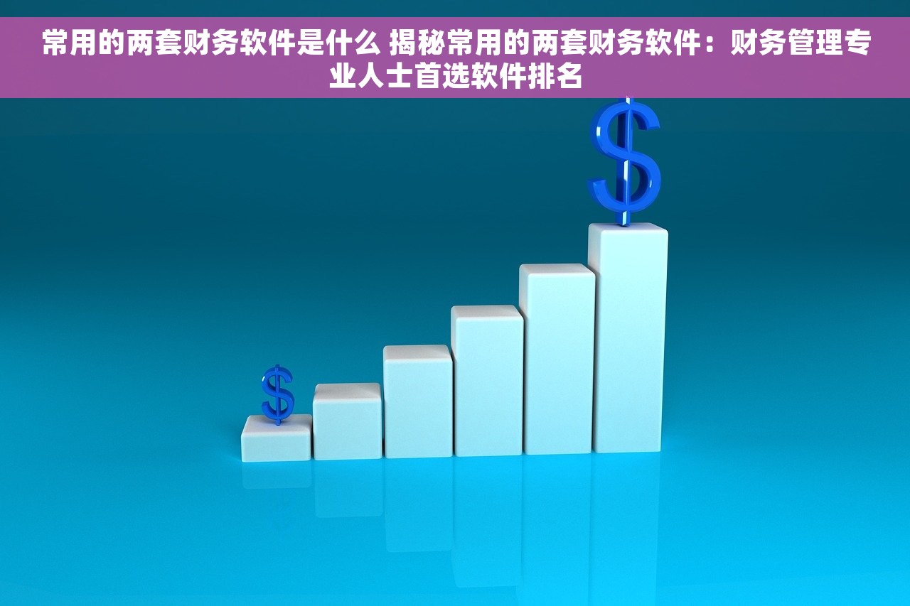 常用的两套财务软件是什么 揭秘常用的两套财务软件：财务管理专业人士首选软件排名